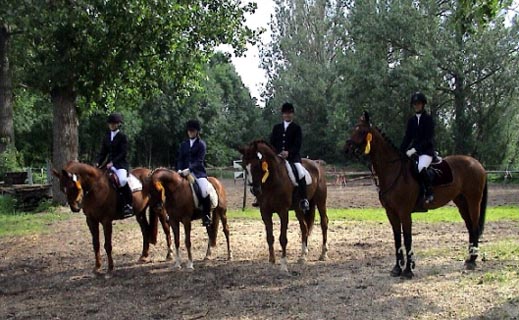 v.L.: Christina Zeppenfeld mit Mozart, Anne Zeppenfeld mitVesuv, Brigitte Hoffmeister mit Graf, Tanja Schmidt mit Abilane.